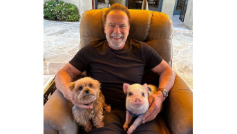 Arnold Schwarzenegger celebrates 77th birthday: Pratt, daughters and grandchildren in the kitchen wi