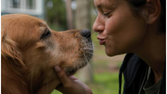 Emotional Tale of Resilience: ''After the Rain'' and Its Oscar Journey