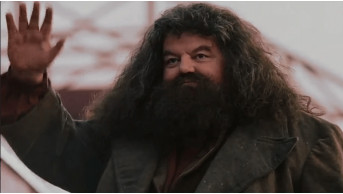 Nick Frost to Portray Hagrid in HBO's New Harry Potter Series?