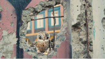 Kharkiv Artists Unveil Resilience Through Ceramics Amidst War