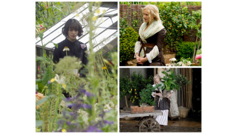Garden of Wonder: Unveiling the Secrets Behind Versailles and More