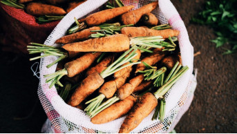 Get Ready for a Bountiful Harvest with These Innovative Carrot Planting Techniques!