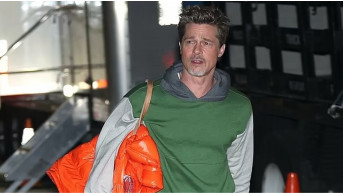 Scandal around God's True Cashmere: PETA criticizes Brad Pitt's business