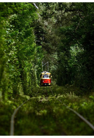 Афіша Прогулка на трамвайчике в Пущу - Водицу, Київ - 2020-02-09 10:30:00