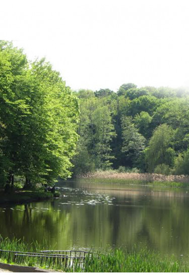 Poster  Пуща-Водица: город-сад, Kyiv - 2020-03-09 10:45:00