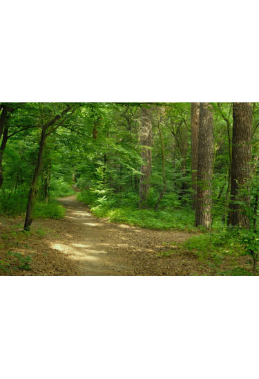 Poster  Сирець, Kyiv - 2021-08-23 11:00:00