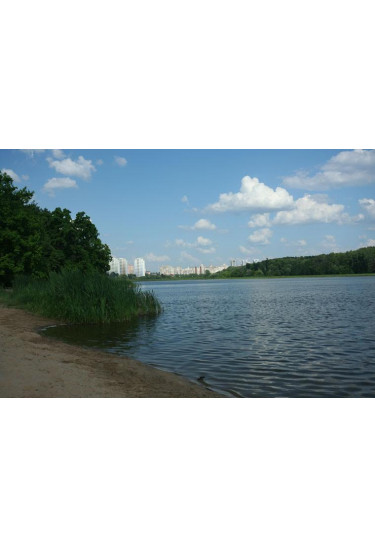 Poster  Святошинский лес, Kyiv - 2019-06-15 11:00:00