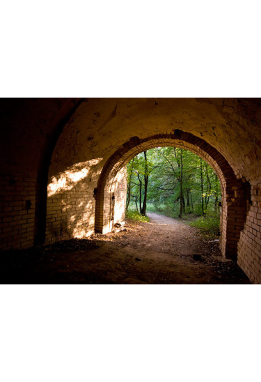 Poster  Эко-прогулка со сбором мусора: Лысогорский форт и Лыбедь, Kyiv - 2019-08-31 11:00:00