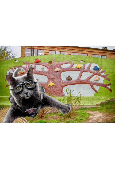 Poster  Прості Складові Щастя: Київ. Котики. Любов, Kyiv - 2022-10-02 12:00:00