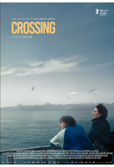 C Перехід / Crossing Київ 2024