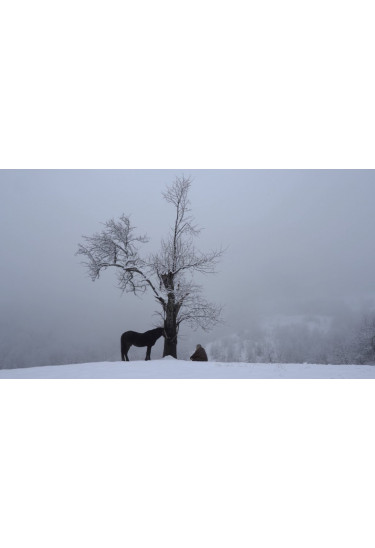 Афіша DC У двері мого дому постукає хто / At the Door of the House, Who Will Come Knocking, Київ - 2025-10-27 15:45:00