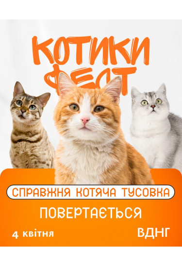 КОТИКИ ФЕСТ Kyiv 2026