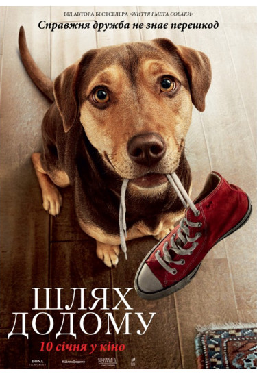 Шлях додому Київ 2019