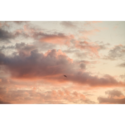 Photo №7 - Poster Poster  Kyiv Mozart Orchestra — Max Richter & Vivaldi, Kyiv - 2025-08-27 19:00:00