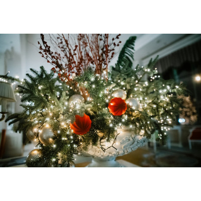 CHRISTMAS – Kyiv Mozart Orchestra, з попередніх подій, 1