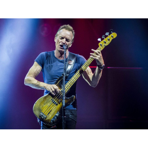 Фото №3 - Квитки на концерт Sting в м. Київ Фото №3 Квитки на концерт Sting в м. Київ