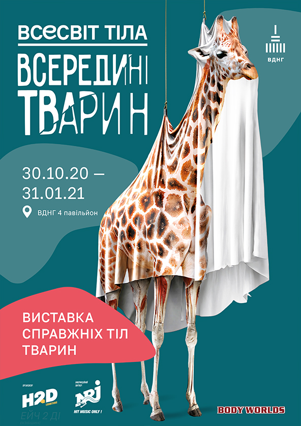 Билеты Вселенная тела: Внутри животных Билеты Вселенная тела: Внутри животных